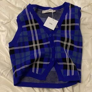 Adult button up sweater vest